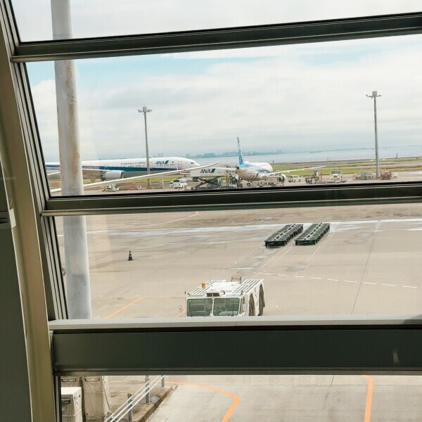 ✈️
