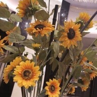 7/28,29追加🆕💐✨