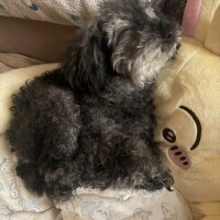 寝起きショット