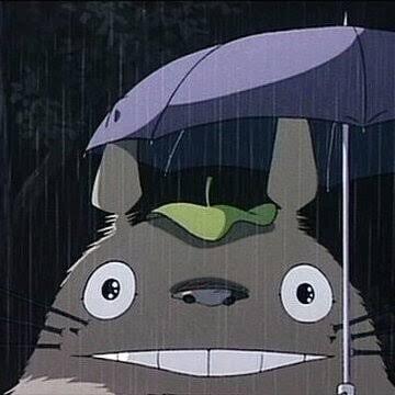 夏の便り