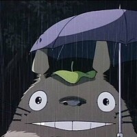 夏の便り