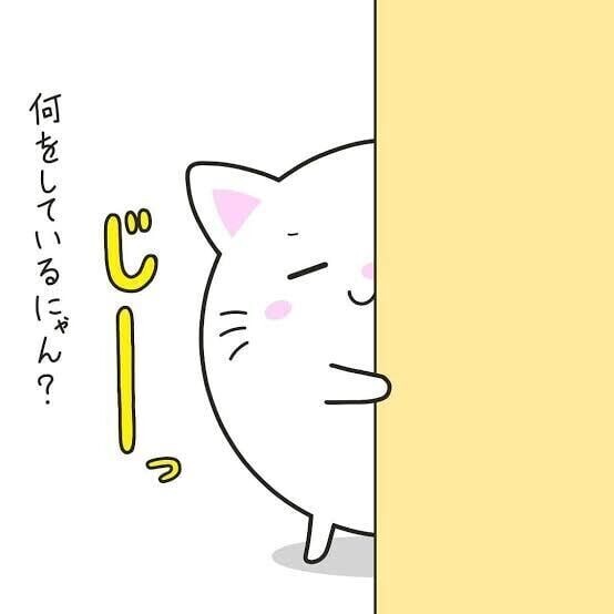 ナイトタイム