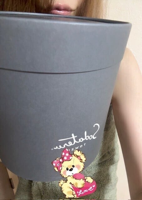 バスタオルとチーズケーキ