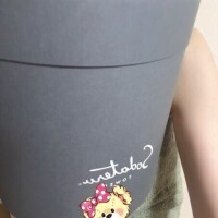 バスタオルとチーズケーキ