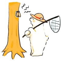 夏の風物詩