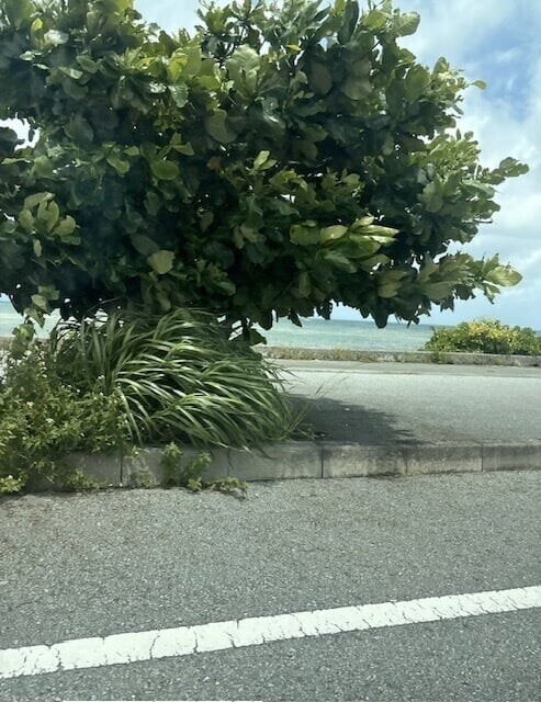 曇り時々雨
