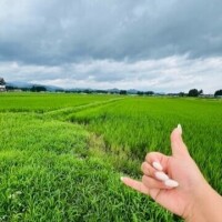 花巻の田舎〜緑〜　　　☺️