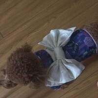 ベルちゃんの初体験