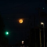 少々お休み(❁ᴗ͈ˬᴗ͈)