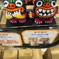 きゃわゆい