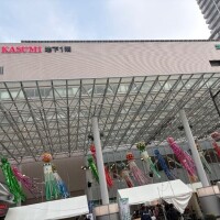 次回19時頃から❣️