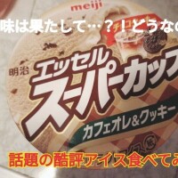 話題のアイス食べてみた‼️