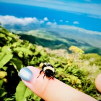 夏の楽しみと言えば…♡