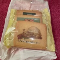 まだまだ待ってるよ🤍