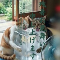 遅めのご挨拶🙇🏻‍♀️‪‪