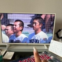 😢🥲🥲🥲完敗です😭😭😭😭