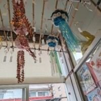 夏を観測する
