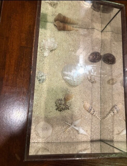 曇り