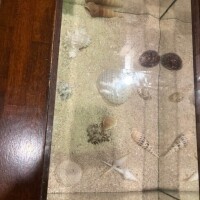 曇り
