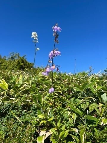 唐松岳⛰️  ②