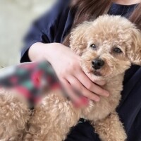 今日はお休み