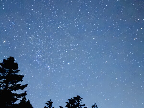 星見える見てる詐欺🌌