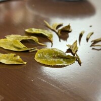ハピマはにじゆっしゅうねんらしい。