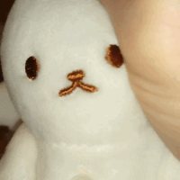私の宝物紹介します