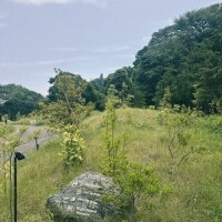 雨のち曇り