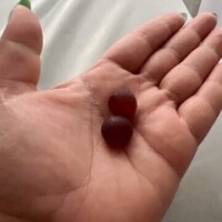 🍇…デラウェア😜😜😜
