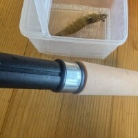 キャンプエピ人生初のえびつり体験中に見た親友ちゃんのもう一つの顔編