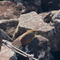 よく会いますね🐰
