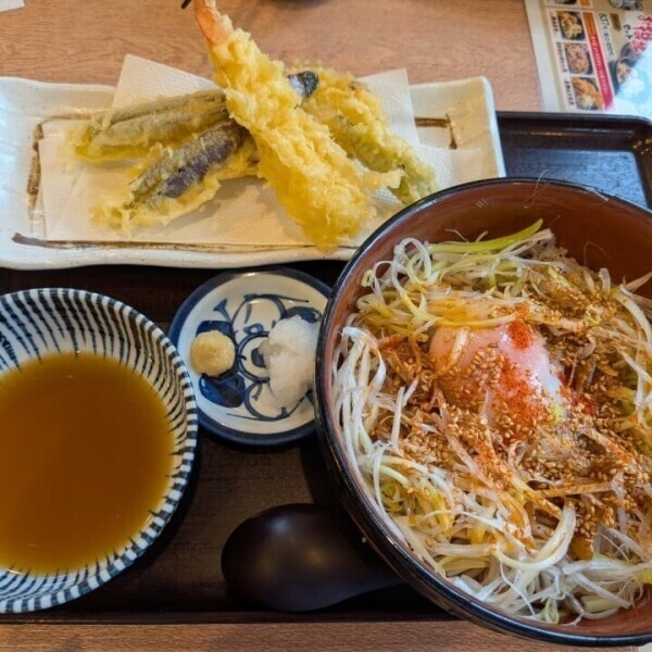 今日18時からいるよ✨