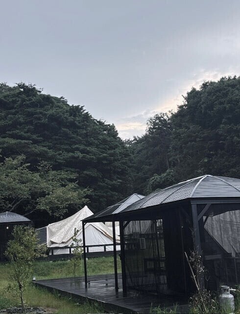 雨