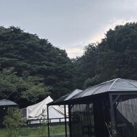 雨