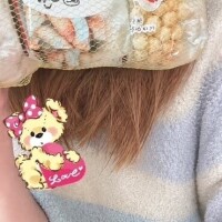 新潟米菓