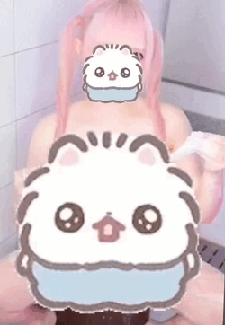 🐶🤍