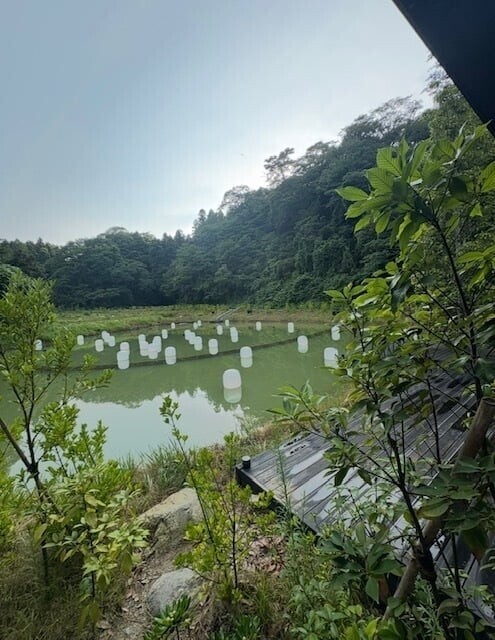 曇り
