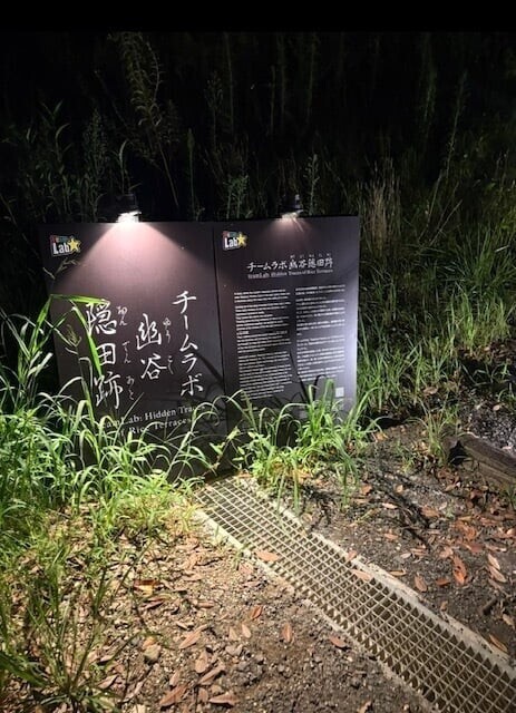 曇り時々晴れ