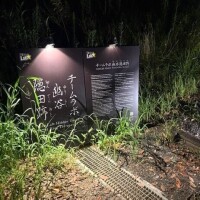 曇り時々晴れ