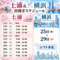 11月出勤