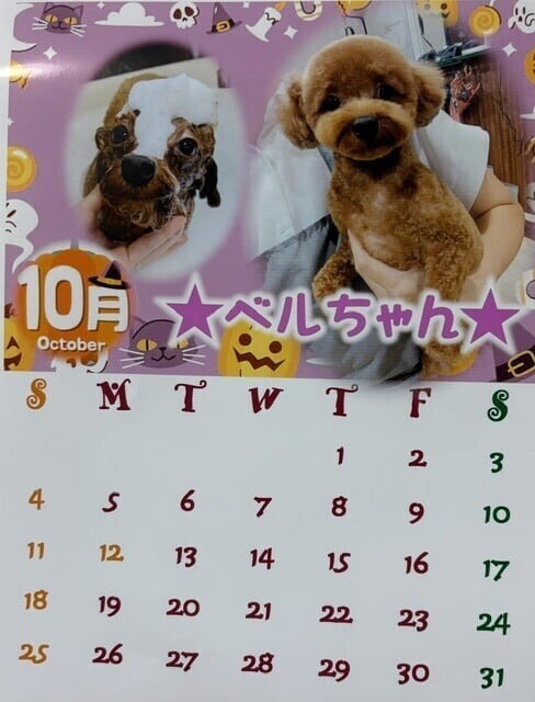 ハロウィンカレンダー