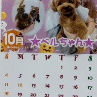 ハロウィンカレンダー
