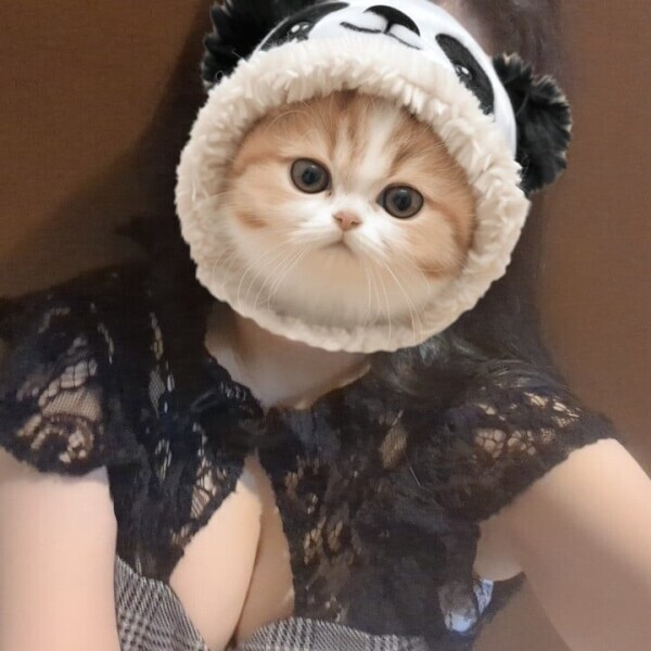 おはよー！