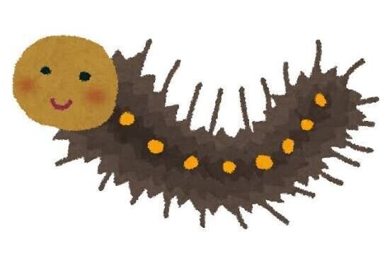 今日のハイライト🐛
