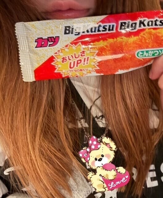 駄菓子とワンちゃんおやつ