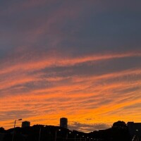 ちょっとだけひとりごと。