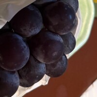 これはもらったぴおーね🍇
