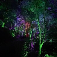 晴れ