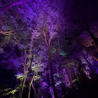 晴れのち曇り